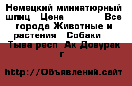 Немецкий миниатюрный шпиц › Цена ­ 60 000 - Все города Животные и растения » Собаки   . Тыва респ.,Ак-Довурак г.